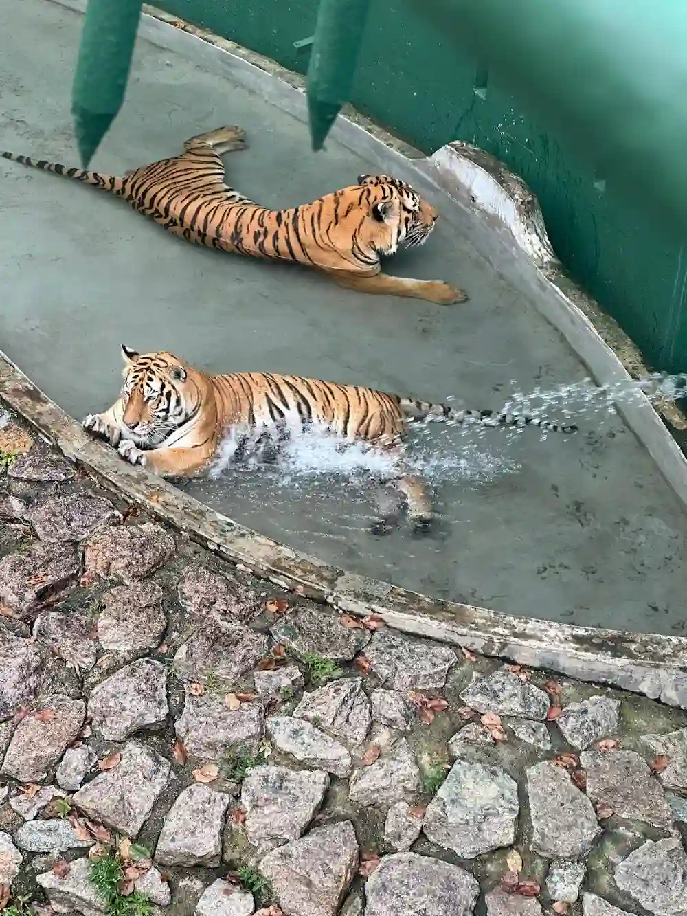 Top 7 Zoos in Johor Bahru 2026 2 Johor Zoo Taman Istana Johor Bahru animals