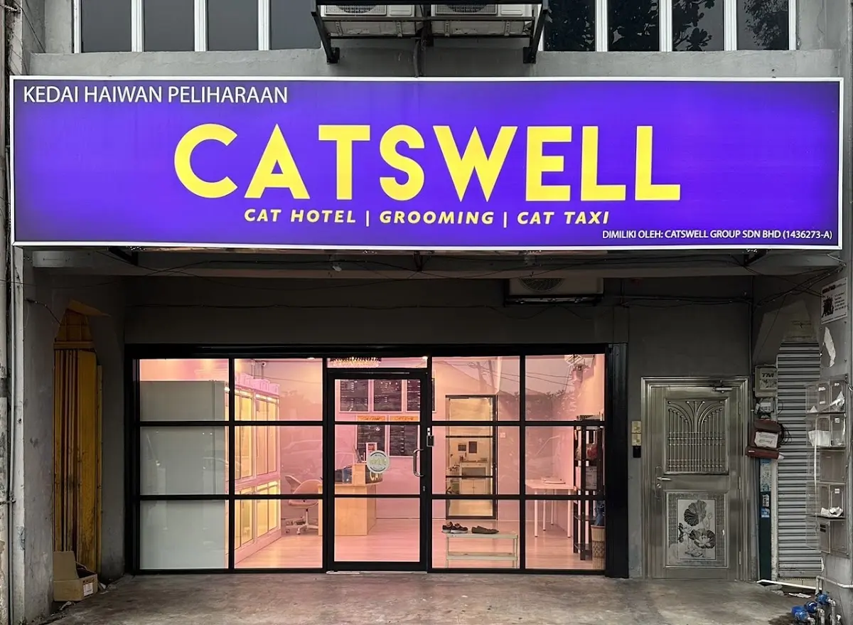 Top 10 Pet Grooming in KL & Selangor 2026 6 Catswell premium cat grooming and hotel Ampang Kuala Lumpur
