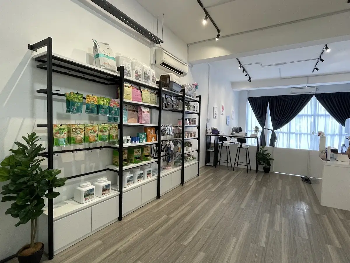Top 10 Pet Grooming in Johor Bahru 2026 7 Von and Don Pet House grooming and boarding Taman Mount Austin Johor Bahru