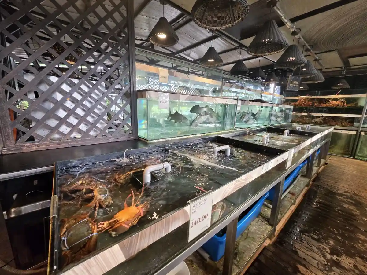 Top 10 Seafood in KL & Selangor 2026 8 South Sea Seafood Shah Alam upmarket live tank seafood restaurant